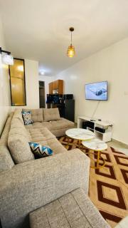 1 bedroom apartment at Tsavo Estate Roysambu - 0