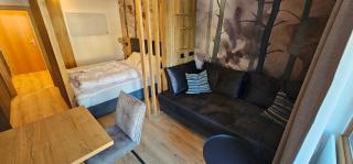 Appartement Wiesberger Top 33 - 0