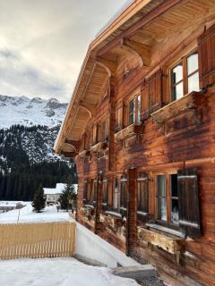 Zug503 Appartement in Lech am Arlberg - 0