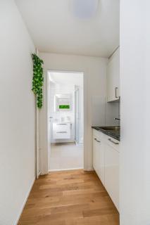 Urban Hideaway Studio St Gallen Center - 8