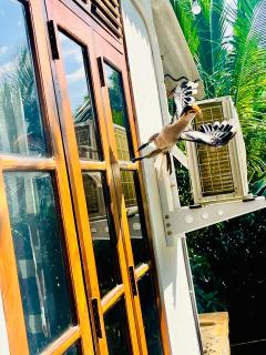 Chamikara Homestay - 4