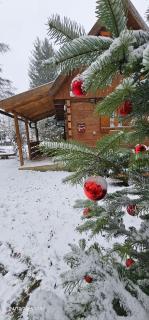 Vodenica Vrelo Chalets - 5