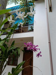 Villa Four Seasons - 8