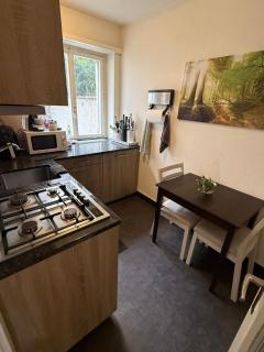 Modern City Apartment Basel - 6