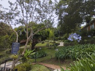 VS Hotel Campestre - 9