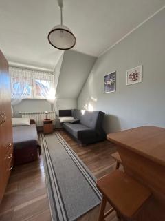 Apartament Studio 100 metrów do Kolejki na Skrzyczne Myśliwska 98 - 5