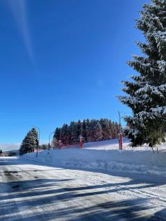 Appartement de montagne - Station du Schnepfenried - 9
