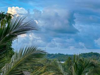 Nature Green Emerald - Mirissa - 1