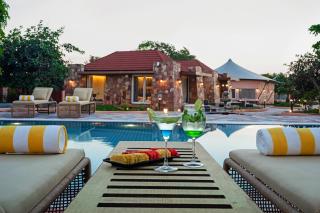 Wild Forest Sasan Gir Wildlife sanctuary - 0