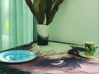 warm house chiang mai - 3