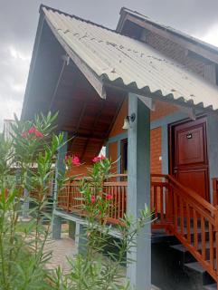 Seeing Green Udawalawa - 1