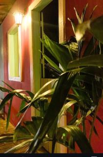 Vila Borogodó BG - 3