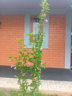 Seeing Green Udawalawa - 3