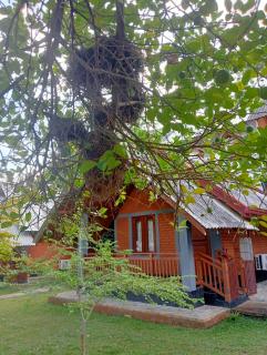 Seeing Green Udawalawa - Uda Walawe - 5