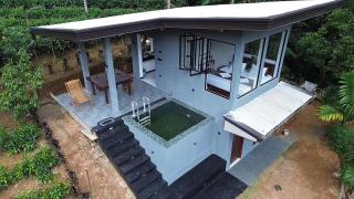 Rainforest cabin - 8