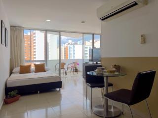 Amoblados Casa de Pinos Bucaramanga - 6