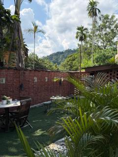 Serene Palm Heritage Tropical Villa - 1