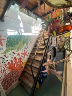 Hostel La petite maison de Diana - 5