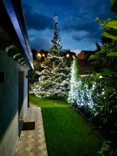 La Casetta dei Fiori sull Etna - 7