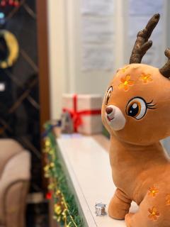 Downtown Rivnto-cozy stay - 4