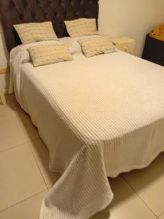 Departamento zona centro - 2