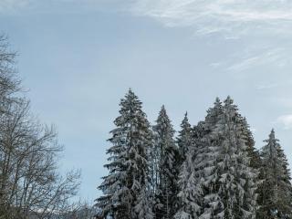 Spacieux T3, 6 pers, calme, balcon, parking, casier à skis, navette à 150m - FR-1-572-278 - 5