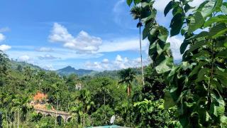 Nine Arch Araliya Homestay - Ella - 1