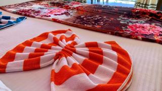 Nine Arch Araliya Homestay - Ella - 2