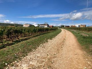 L'Atelier du Champ Ladoit - 1