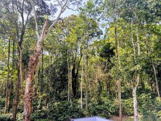 Aarvani Retreat Relax, Explore & Unwind in Coorg - 4