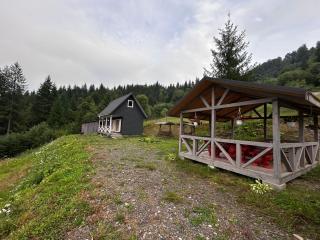 Будинок на горі Борщевиця - 2