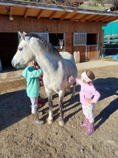 Appartement Rossalm mit Sauna - 8
