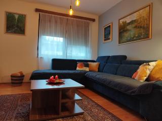 Kuća za odmor Dankica - 1