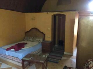 Old Oasis Hotel for Safari Trips - 7