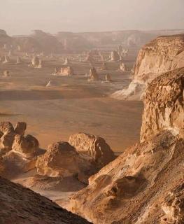 Old Oasis Hotel for Safari Trips - 6