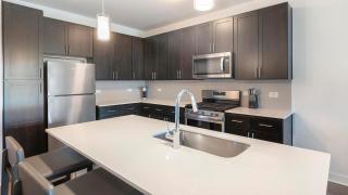 Landing Apartments - Element at Veridian - 3