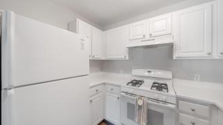 Landing Apartments - The Villages at Canterfield - 4