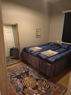 Cozy Apartment by the Isopuisto Park - 9