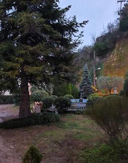 The cozy residence - 9