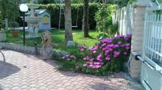 B&B Amurri Domenica - 1