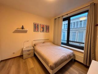 Cozy studio in Brussels centrum - 8