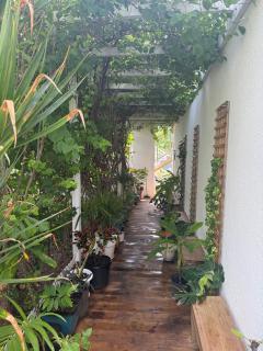 Maho Beach Grand Studio Ocean View - 5