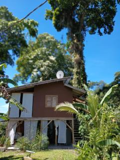 Jungle Tree House TOP HILL - 9