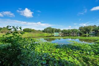 Peaceful Lake View Retreat Near Parks 10 Minutes to Downtown - 6