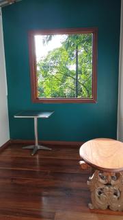 Jungle Tree House - 2