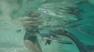 Villa Sago - Grand Turk - 8