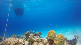 Villa Sago - Grand Turk - 5