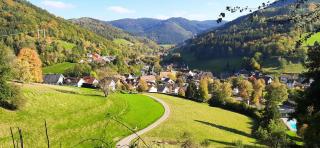 Ferienwohnung Bachklang Oberprechtal - 9