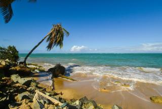 Beachfront Bliss: Pool & Rooftop Lounge in Loíza - 6
