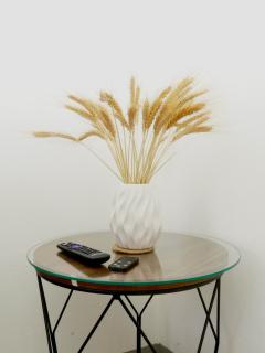 PURA VIDA AIRPORT STAY FREE SHUTTLe - 7